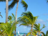Macnifico Riu palace punta cana  - Blogs de Dominicana Rep. - dia 1 en el paraiso (33)