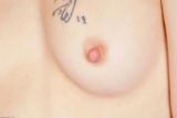 April Paisley Gallery 101 toys 3 714cwlxj1x